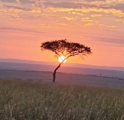 Masai Mara National Reserve