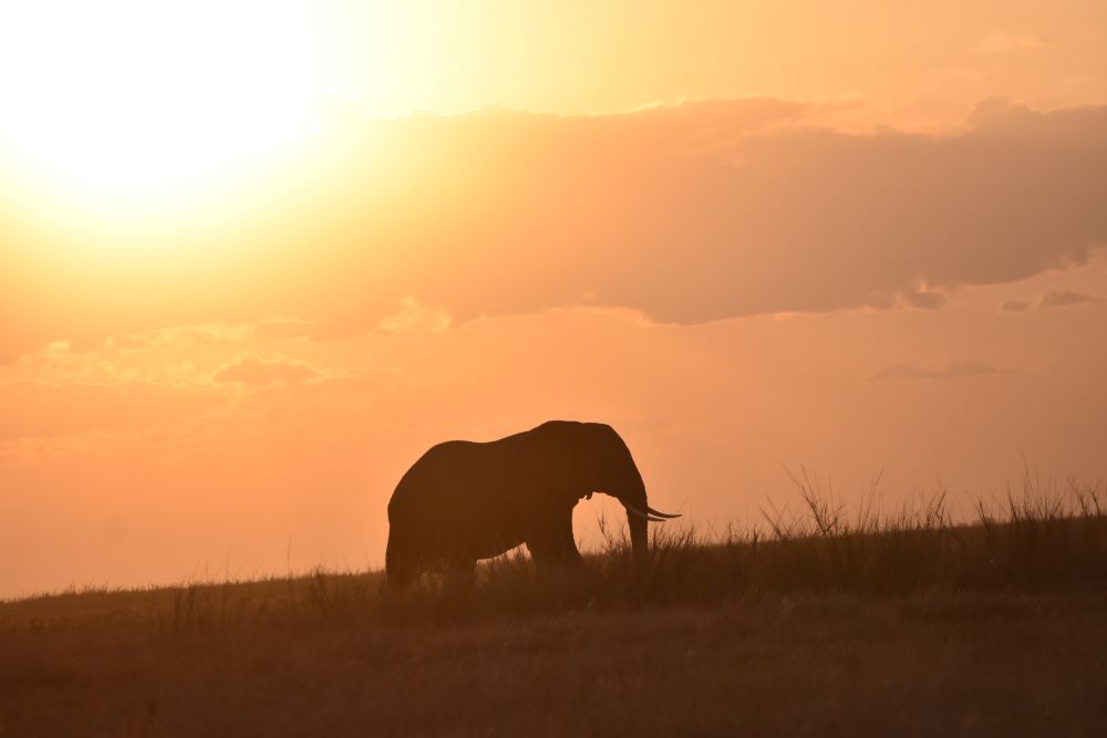 3-days-2-nights-masai-mara-safari